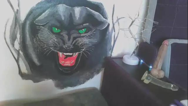 Image 11 of blueskysierra Stream on Chaturbate on 5 months ago