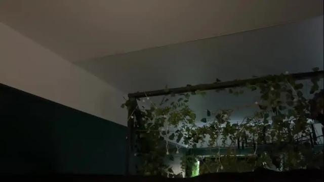 Image 8 of bmwm5f90 Stream on Chaturbate on 26 days ago