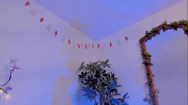 Image 10 of bonniecute_ Stream on Chaturbate on 1 month ago