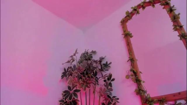 Image 7 of bonniecute_ Stream on Chaturbate on 8 days ago