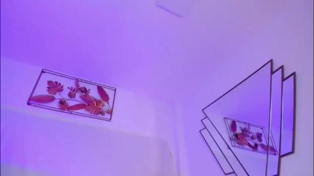 Image 12 of bonniecute_ Stream on Chaturbate on 5 days ago