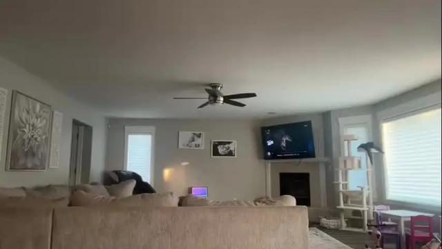 Thumbnail 1, booksnlooksgirl's Stream at Chaturbate, 12 hours ago