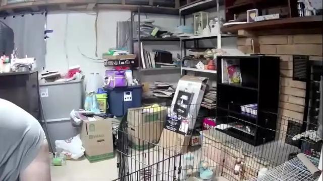 Image 3 of booobeees Stream on Chaturbate on 15 months ago