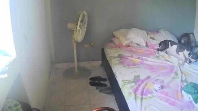 Image 7 of brattandmadison Stream on Chaturbate on 14 months ago