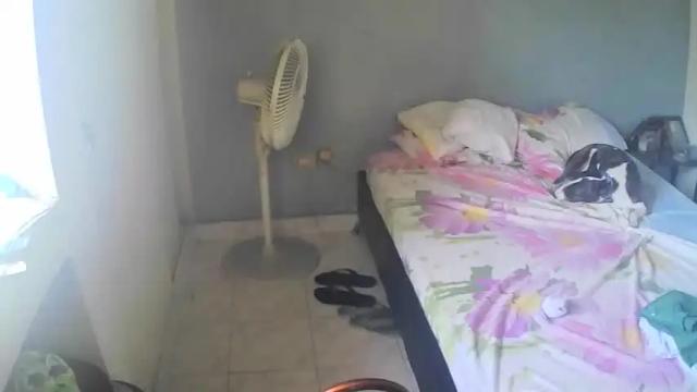 Image 8 of brattandmadison Stream on Chaturbate on 14 months ago