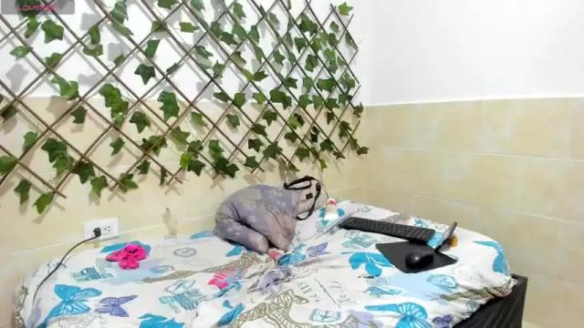Image 7 of brendasmith_69 Stream on Chaturbate on 13 months ago