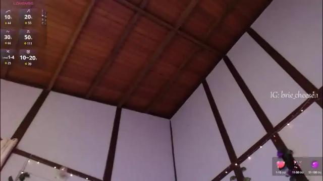 Image 12 of brie_cheese1 Stream on Chaturbate on 1 month ago