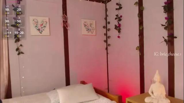 Thumbnail 2, brie_cheese1's Stream at Chaturbate, 1 month ago