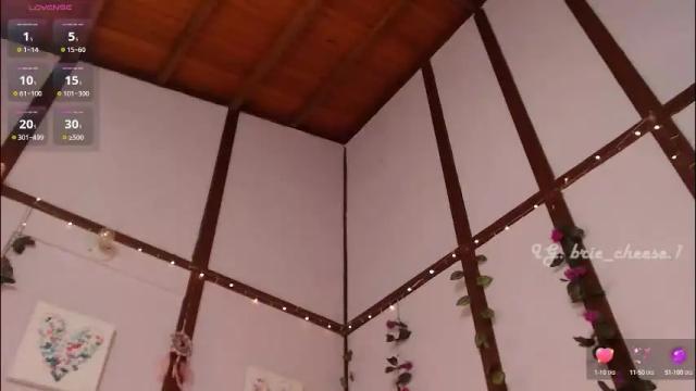 Image 8 of brie_cheese1 Stream on Chaturbate on 1 month ago