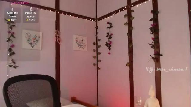Image 4 of brie_cheese1 Stream on Chaturbate on 27 days ago