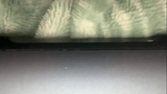 Image 2 of briellebella Stream on Chaturbate on 1 month ago