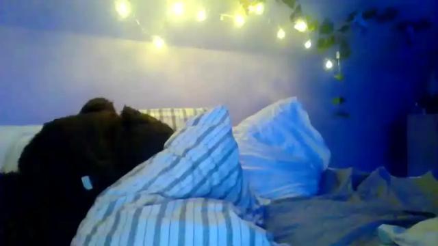Image 2 of brilliant_couple Stream on Chaturbate on 18 months ago