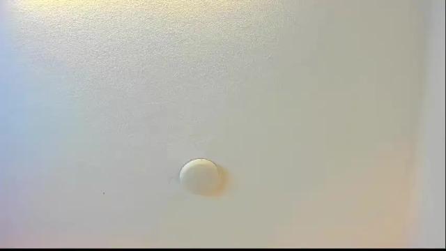 Thumbnail 1, brittany069's Stream at Chaturbate, 2 months ago