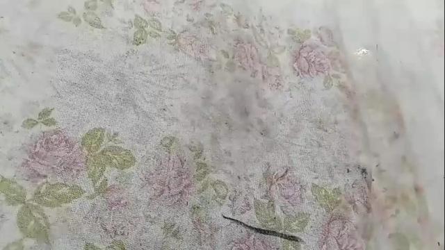 Image 3 of brittany069 Stream on Chaturbate on 1 month ago
