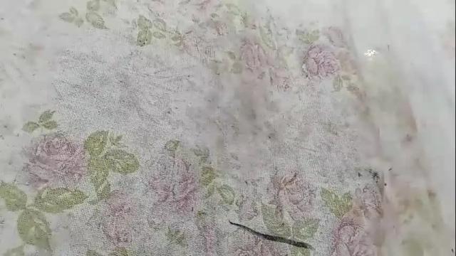 Image 4 of brittany069 Stream on Chaturbate on 1 month ago