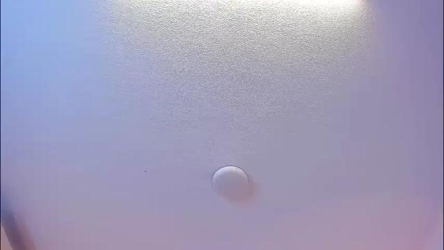 Image 11 of brittany069 Stream on Chaturbate on 1 month ago