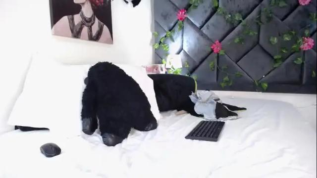 Image 10 of briyithgonza Stream on Chaturbate on 10 days ago