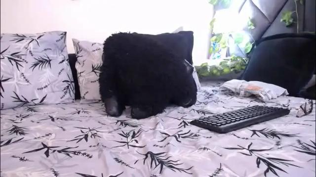 Image 8 of briyithgonza Stream on Chaturbate on 1 month ago