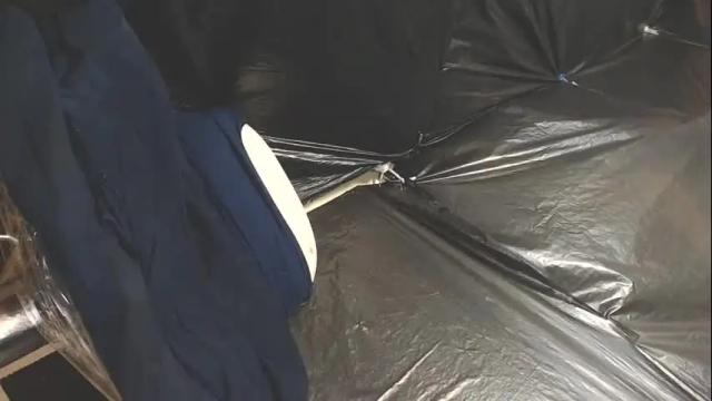 Image 8 of briyitvergara Stream on Chaturbate on 1 month ago