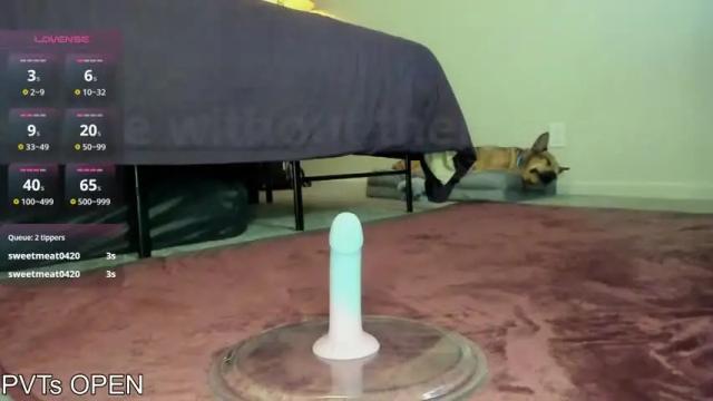 Image 12 of brooklyn_shai Stream on Chaturbate on 13 days ago