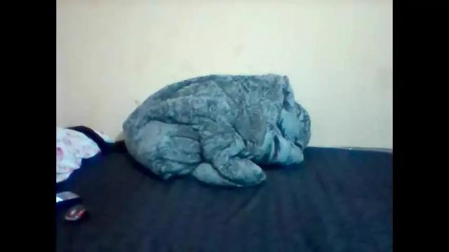 Thumbnail 1, browncurvy95's Stream at Chaturbate, 1 month ago