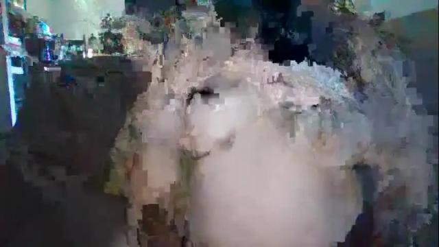 Image 8 of buffalowoman Stream on Chaturbate on 3 months ago