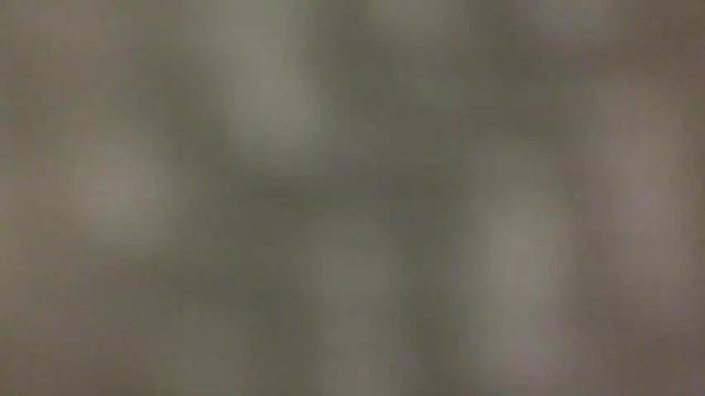 Image 2 of bunnibaby333 Stream on Chaturbate on 18 months ago