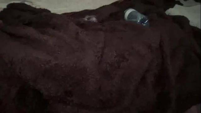 Image 6 of bunnylau Stream on Chaturbate on 18 months ago
