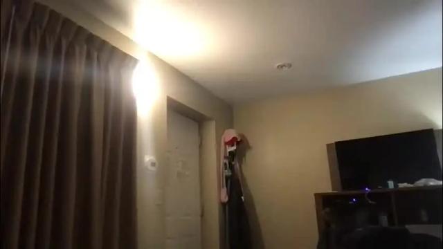 Image 2 of bustypawg13 Stream on Chaturbate on 2 months ago