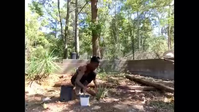 Thumbnail 2, butt3rcup's Stream at Chaturbate, 3 months ago