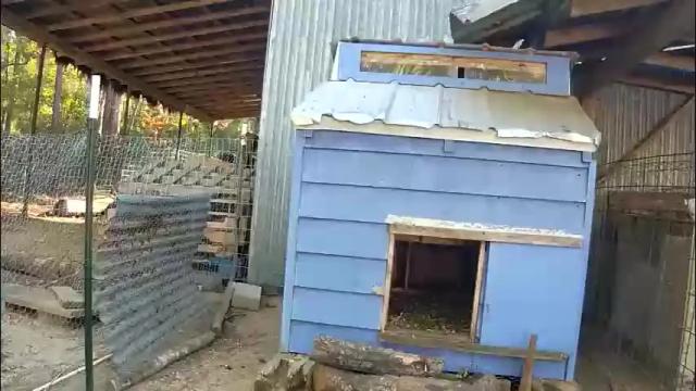 Thumbnail 1, butt3rcup's Stream at Chaturbate, 1 month ago