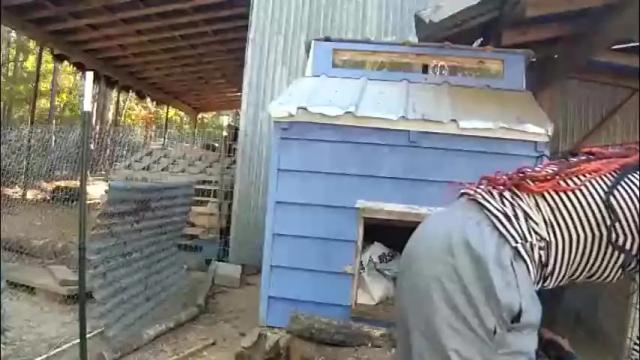 Image 3 of butt3rcup Stream on Chaturbate on 1 month ago