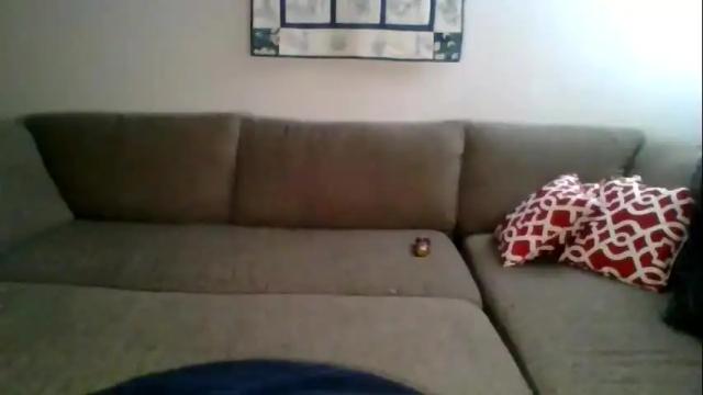 Image 8 of caitieluvs Stream on Chaturbate on 4 months ago