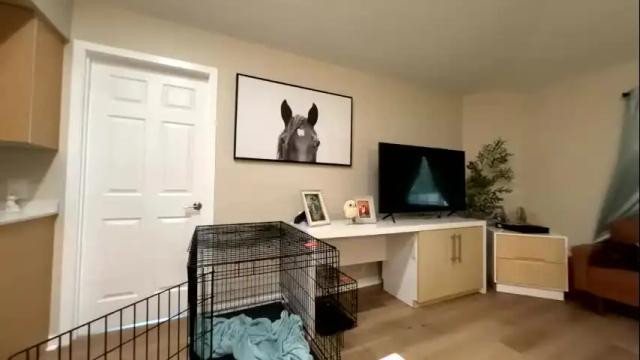 Image 6 of calicambri Stream on Chaturbate on 1 month ago