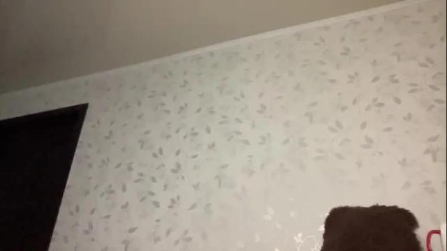 Thumbnail 2, call_me_dad_'s Stream at Chaturbate, 2 months ago
