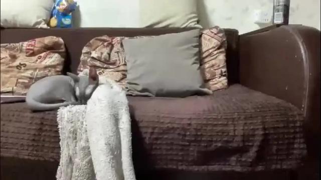 Image 12 of call_me_dad_ Stream on Chaturbate on 6 days ago