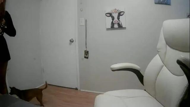 Image 3 of camerongibson Stream on Chaturbate on 7 months ago