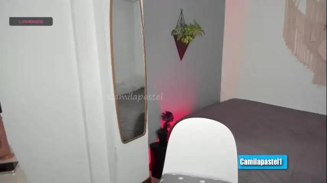 Image 6 of camilapastel Stream on Chaturbate on 1 month ago
