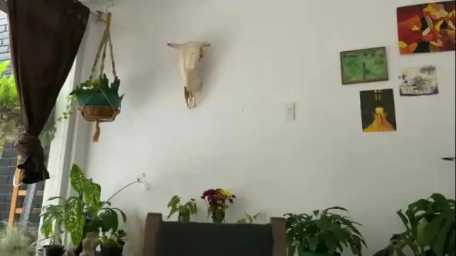 Image 11 of camille_delrey Stream on Chaturbate on 1 month ago