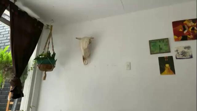 Image 8 of camille_delrey Stream on Chaturbate on 1 month ago