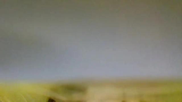 Thumbnail 1, camillechek's Stream at Chaturbate, 13 months ago
