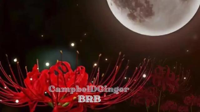 Thumbnail 2, campbeldginger's Stream at Chaturbate, 12 months ago