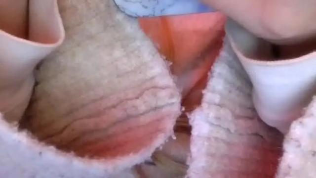 Image 6 of candismiths Stream on Chaturbate on 2 months ago