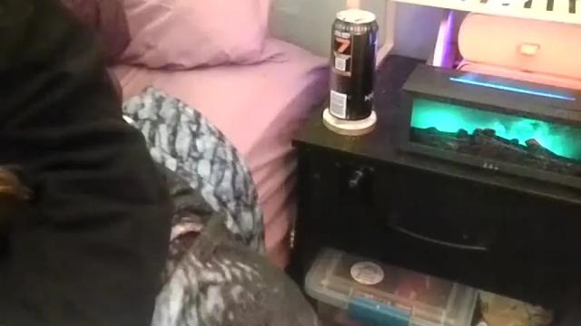 Image 6 of candismiths Stream on Chaturbate on 1 month ago