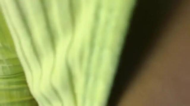 Image 10 of canela_fischer Stream on Chaturbate on 14 months ago