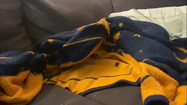 Image 11 of cannakams Stream on Chaturbate on 2 months ago