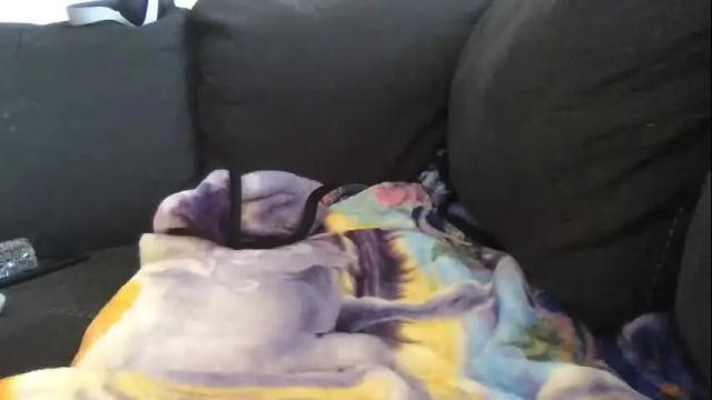 Image 6 of cannakams Stream on Chaturbate on 29 days ago