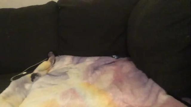 Image 8 of cannakams Stream on Chaturbate on 26 days ago