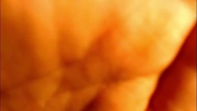 Image 12 of caprize_diva Stream on Chaturbate on 2 months ago