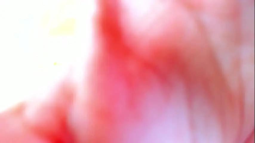 carlota_peach Chaturbate